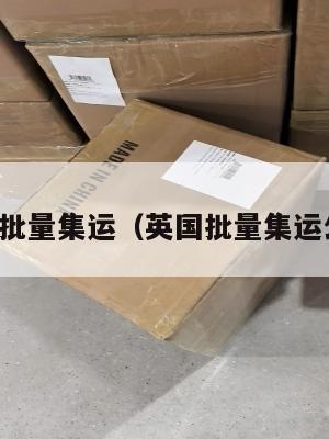 英国批量集运（英国批量集运公司）