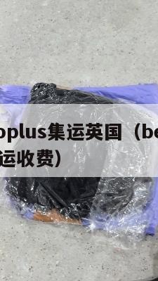 beegoplus集运英国（beegoplus集运收费）