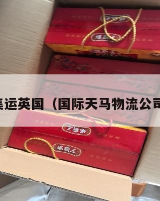 天马集运英国（国际天马物流公司官网）