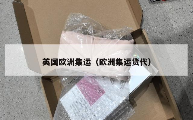 英国欧洲集运（欧洲集运货代）