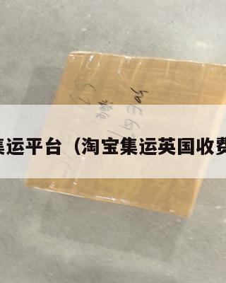 英国集运平台（淘宝集运英国收费标准）
