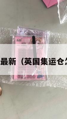 英国集运最新（英国集运仓怎么收费）