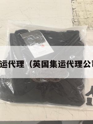 英国集运代理（英国集运代理公司排名）
