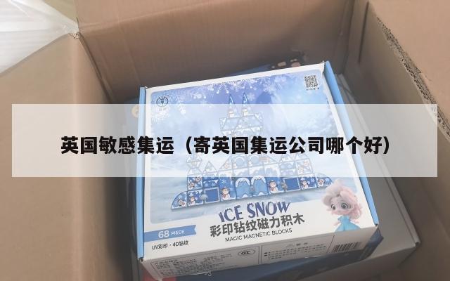 英国敏感集运（寄英国集运公司哪个好）