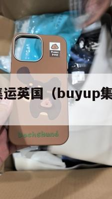 buyup集运英国（buyup集运安卓下载）