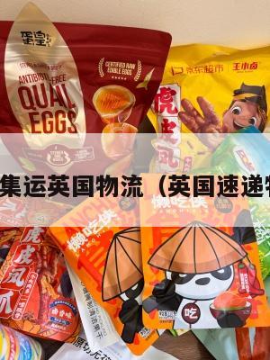 英国集运英国物流（英国速递物流）