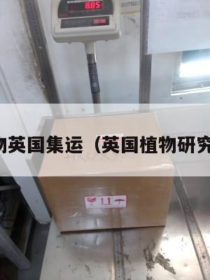 植物英国集运（英国植物研究所）