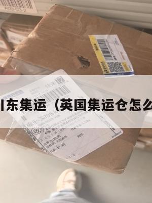英国川东集运（英国集运仓怎么收费）