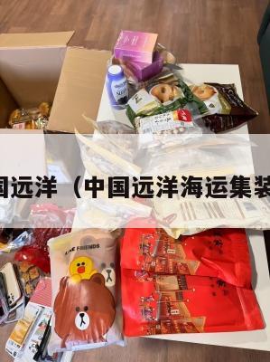 集运英国远洋（中国远洋海运集装箱查询）
