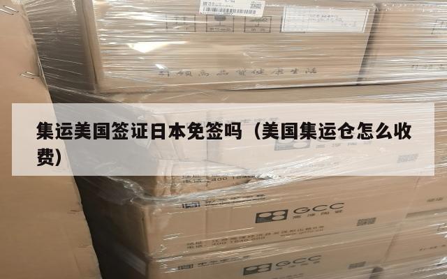 集运美国签证日本免签吗（美国集运仓怎么收费）