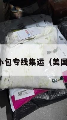 美国空运小包专线集运（美国空运物流）