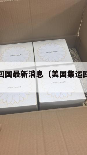 美国集运回国最新消息（美国集运回国最新消息今天）