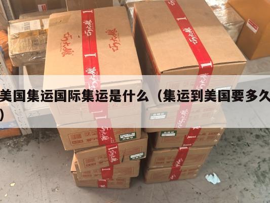 美国集运国际集运是什么（集运到美国要多久）