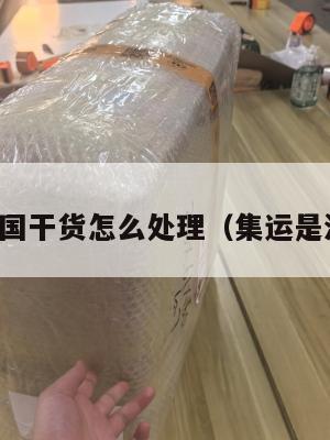 集运美国干货怎么处理（集运是海运吗）