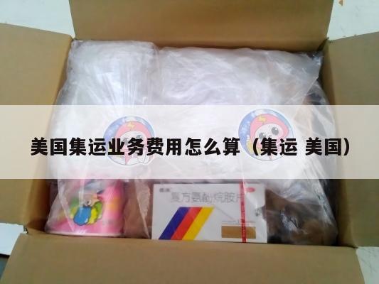 美国集运业务费用怎么算（集运 美国）