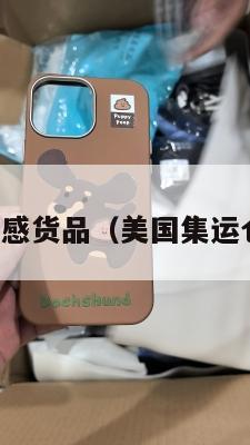 集运美国敏感货品（美国集运仓怎么收费）