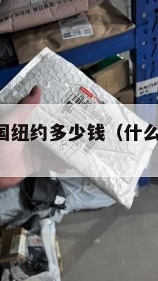 集运仓到美国纽约多少钱（什么是集运仓 发往国外）