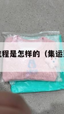 集运美国的流程是怎样的（集运到美国要多久）