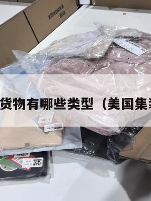美国集运货物有哪些类型（美国集装箱运费）