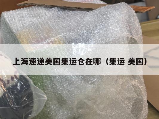 上海速递美国集运仓在哪（集运 美国）