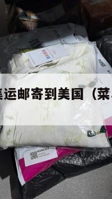 怎么用菜鸟集运邮寄到美国（菜鸟国际物流官网怎么邮寄）