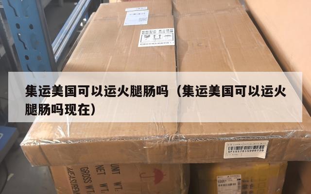 集运美国可以运火腿肠吗（集运美国可以运火腿肠吗现在）