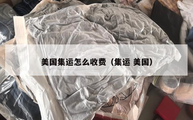 美国集运怎么收费（集运 美国）