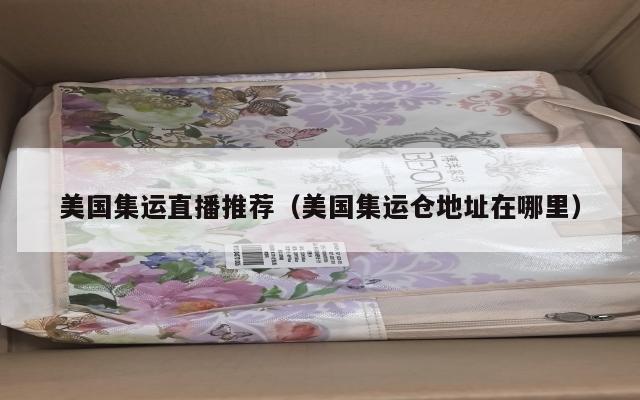 美国集运直播推荐（美国集运仓地址在哪里）