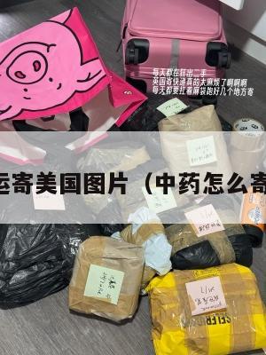 中药集运寄美国图片（中药怎么寄到美国）