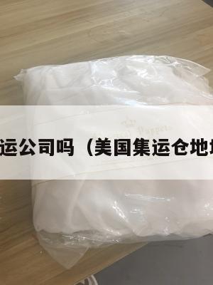 美国有集运公司吗（美国集运仓地址在哪里）