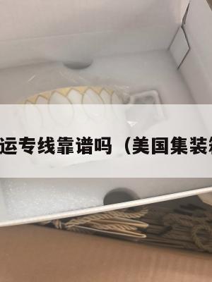 美国集运专线靠谱吗（美国集装箱海运）