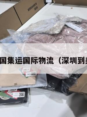深圳到美国集运国际物流（深圳到美国海运）