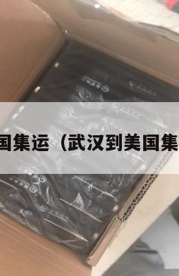 武汉到美国集运（武汉到美国集运要多久）