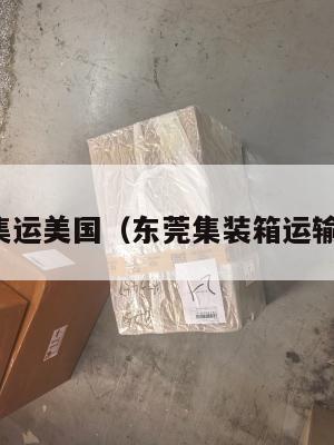 东莞集运美国（东莞集装箱运输公司）