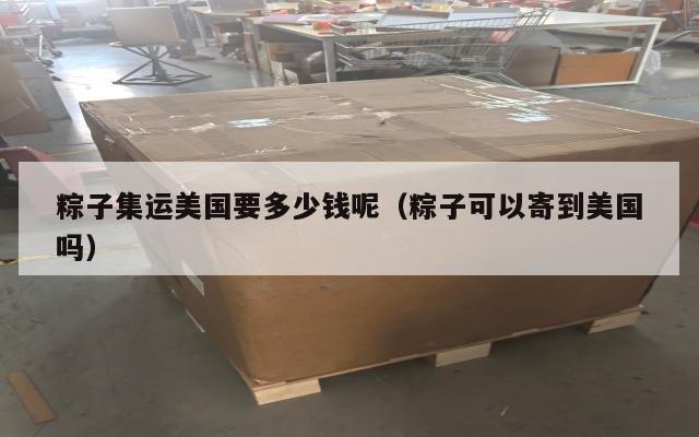 粽子集运美国要多少钱呢（粽子可以寄到美国吗）