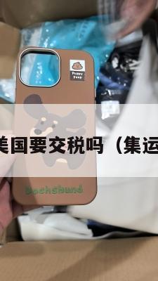 集运衣服到美国要交税吗（集运海运到美国）