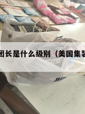 美国集运团长是什么级别（美国集装箱航运公司）