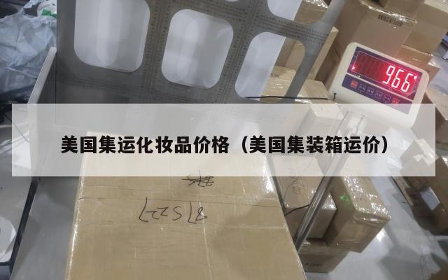 美国集运化妆品价格（美国集装箱运价）