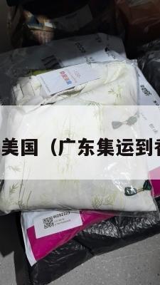 广东集运美国（广东集运到香港多久）