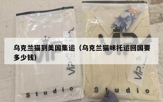 乌克兰猫到美国集运（乌克兰猫咪托运回国要多少钱）
