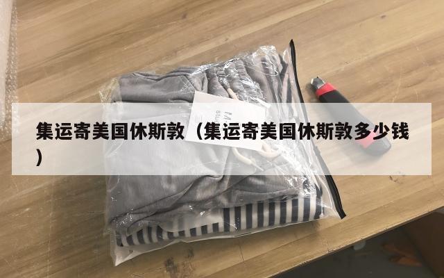 集运寄美国休斯敦（集运寄美国休斯敦多少钱）