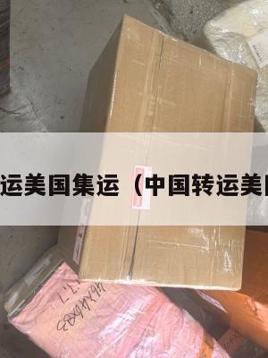 中国转运美国集运（中国转运美国价格）