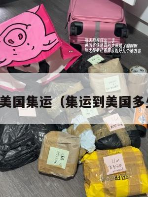 跨境美国集运（集运到美国多少钱）