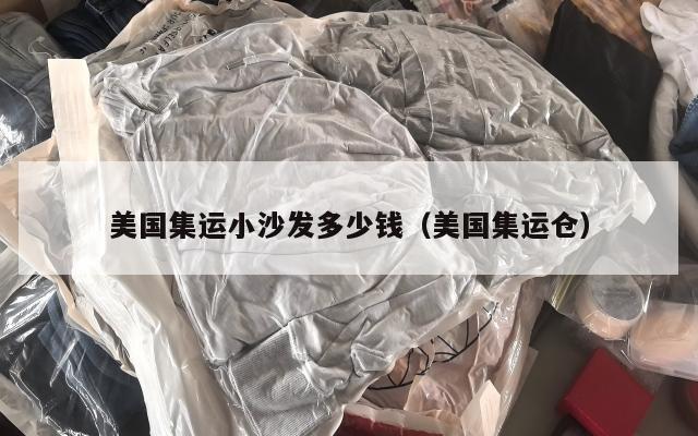 美国集运小沙发多少钱（美国集运仓）
