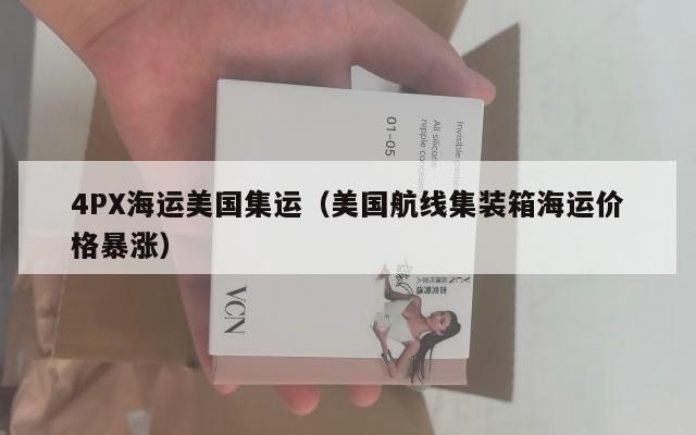 4PX海运美国集运（美国航线集装箱海运价格暴涨）