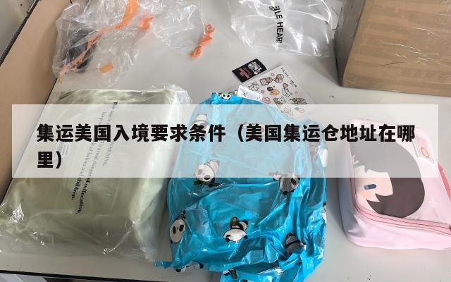 集运美国入境要求条件（美国集运仓地址在哪里）
