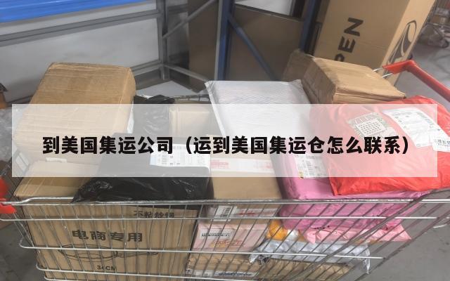 到美国集运公司（运到美国集运仓怎么联系）