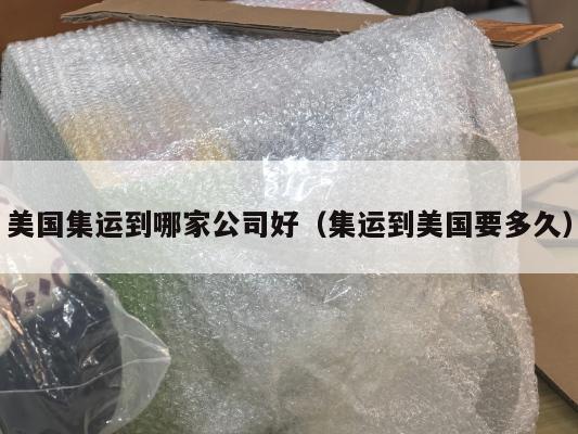 美国集运到哪家公司好（集运到美国要多久）