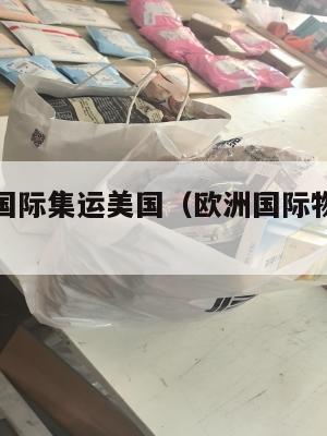 推荐欧洲国际集运美国（欧洲国际物流一般多久到国内）