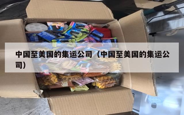 中国至美国的集运公司（中国至美国的集运公司）